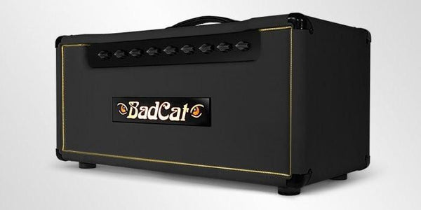 Bad Cat Amps Black Cat 30 1x12 Combo
